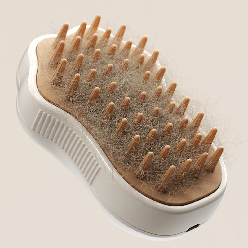 Steam Clean Brush 2.0